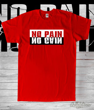 E-038 NO PAIN NO GAIN - The Graphitees
